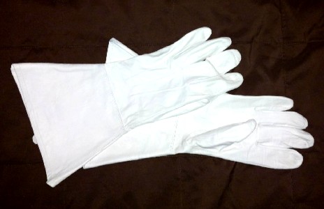 Darth Terrabbicus Gloves