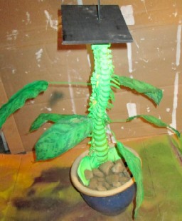 Skeleton Spine Stem with Wood Base