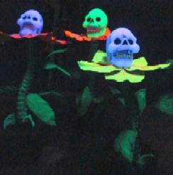 Skeleton Flowers in the Black Light