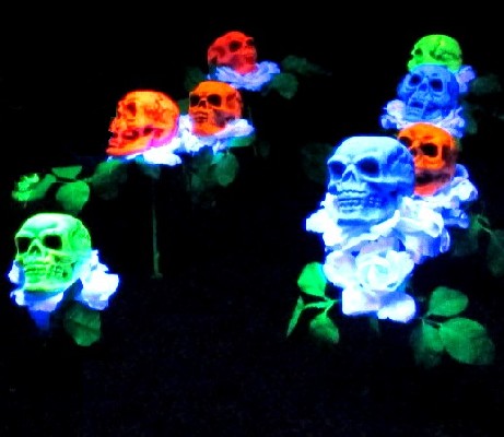 Small Skeleton Flowers in Black Light