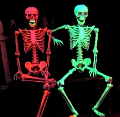 Skeletons on the Bench