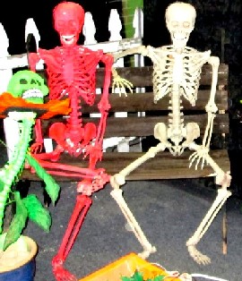 Skeletons on Bench in Proper Positions