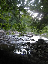 A peaceful creek full of rocks, surrounded by trees