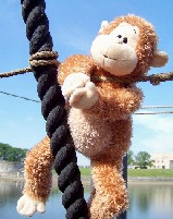 Flapjack on the ropes