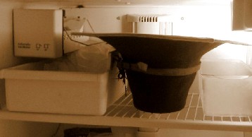 Hat in the freezer