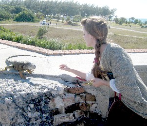 Mae feeding 
       the iguana 1