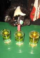 The skunk and the shots