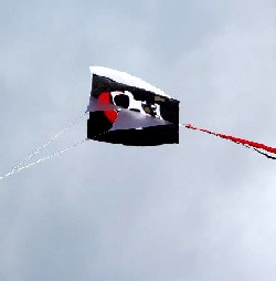 A pirate Flag kite