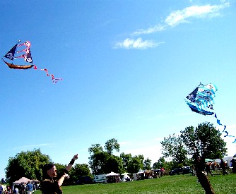 Folks flying pirate kites