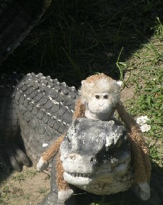 Lob on an alligator