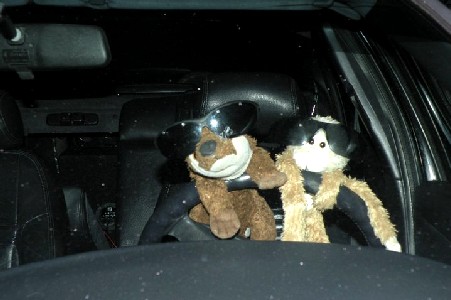 Lob and Otter driving at night 1