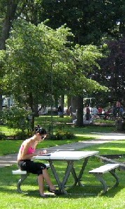 Girl in the park surfing the net 1