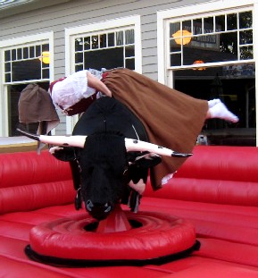 Cheeky mounting the bull