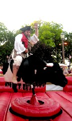 Clint rides the bull