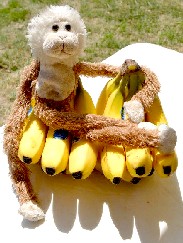 Lob sitting on bananas