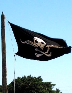 The Mercury flag flies over the fort