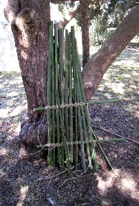 The boucan propped against a tree