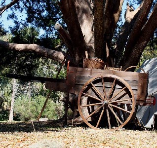 A wood wagon under a tree