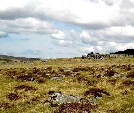 Dartmoor View 1