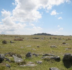 Dartmoor View 2