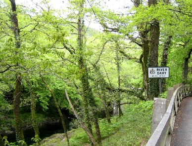 River Dart Sign