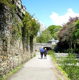 The Old Tavistock Abby Wall