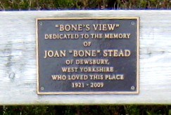 Bone's View Bench Plaque