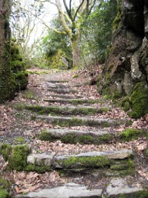 Portmeirion Walking Path Stairs