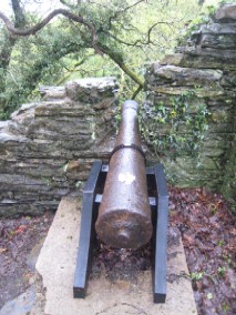 A Cannon